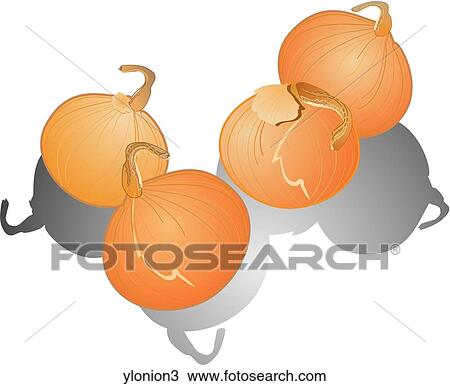 Drawing - Yellow Onions-Shadows. Fotosearch