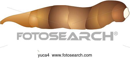 Yuca-One View Large Illustration Stock Illustration - Yuca-One. Fotosearch