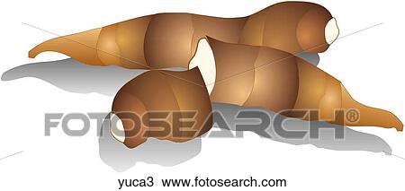 Drawing - Yuca-Shadows. Fotosearch