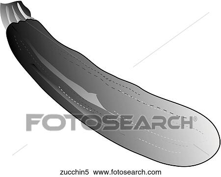 Zucchini-One B&W View Large Illustration Stock Illustration - Zucchini-One B&W. Fotosearch