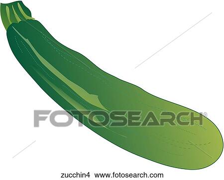Zucchini-One View Large Illustration Stock Illustration - Zucchini-One. Fotosearch