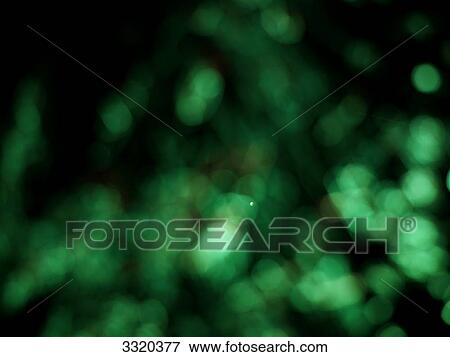 Abstract Points of light View Large Photo Image Stock Photo - Abstract Points of light . Fotosearch