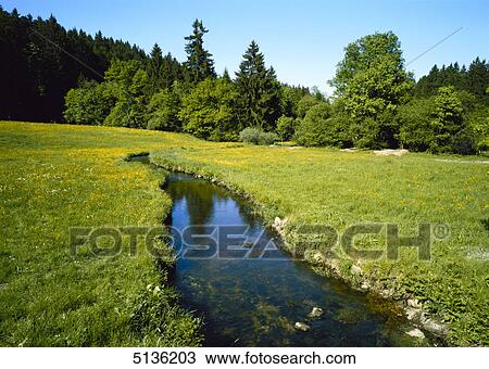 Blooming meadows and streamlet View Large Photo Image Stock Image - Blooming meadows and streamlet . Fotosearch