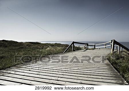 Boardwalk at seaside View Large Photo Image Stock Image - Boardwalk at seaside . Fotosearch