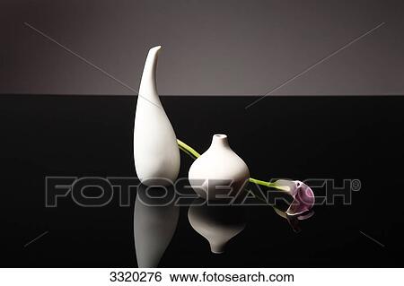 Calla lying beside two flower vases View Large Photo Image Stock Photograph - Calla lying beside two flower vases . Fotosearch