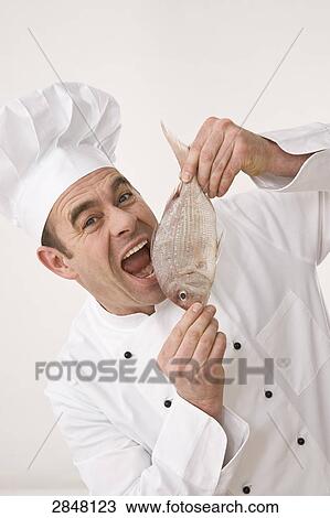 Chef eating fish View Large Photo Image Stock Image - Chef eating fish . Fotosearch