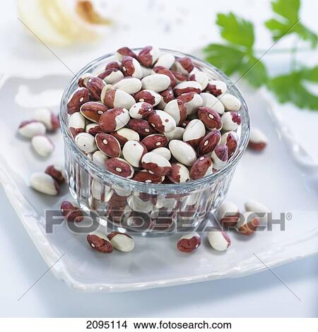 Close-up of beans in bowl on platter View Large Photo Image Picture - Close-up of beans in bowl on platter . Fotosearch