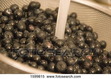 Stock Photography - Close-up of blueberries in colander . Fotosearch