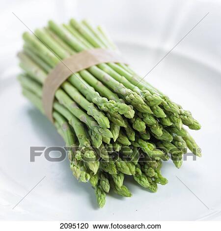 Close-up of bundle of asparagus View Large Photo Image Stock Image - Close-up of bundle of asparagus . Fotosearch