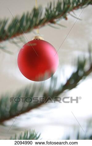 Close-up of Christmas ornament hanging on tree View Large Photo Image Stock Image - Close-up of Christmas ornament hanging on tree . Fotosearch