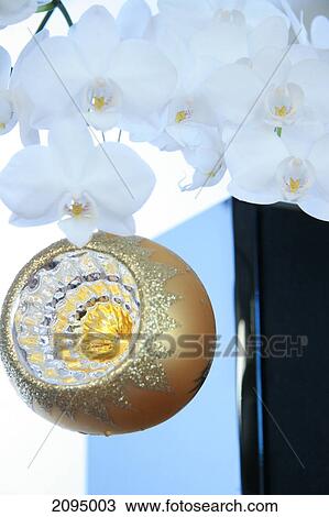 Close-up of Christmas ornament hanging on tree View Large Photo Image Stock Image - Close-up of Christmas ornament hanging on tree . Fotosearch