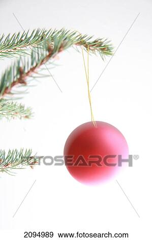 Close-up of Christmas ornament hanging on tree View Large Photo Image Stock Photo - Close-up of Christmas ornament hanging on tree . Fotosearch