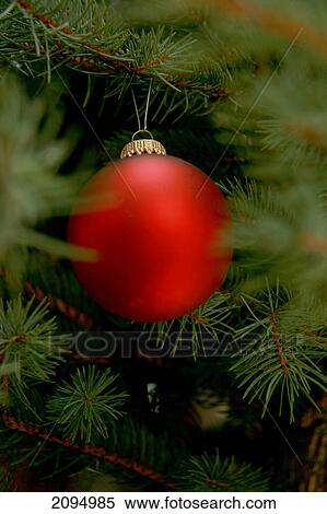 Close-up of Christmas ornament hanging on tree View Large Photo Image Stock Photography - Close-up of Christmas ornament hanging on tree . Fotosearch