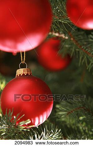 Close-up of Christmas ornaments hanging on tree View Large Photo Image Stock Image - Close-up of Christmas ornaments hanging on tree . Fotosearch