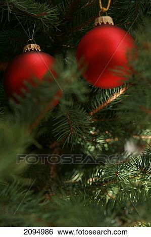 Close-up of Christmas ornaments hanging on tree View Large Photo Image Stock Photograph - Close-up of Christmas ornaments hanging on tree . Fotosearch
