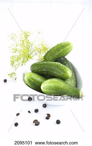 Close-up of cucumbers in bowl View Large Photo Image Stock Image - Close-up of cucumbers in bowl . Fotosearch