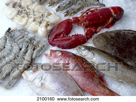 Close-up of fish in market View Large Photo Image Stock Image - Close-up of fish in market . Fotosearch
