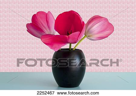 Close-up of flower in vase View Large Photo Image Stock Photo - Close-up of flower in vase . Fotosearch