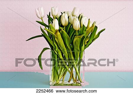 Close-up of flowers in vase View Large Photo Image Stock Photograph - Close-up of flowers in vase . Fotosearch