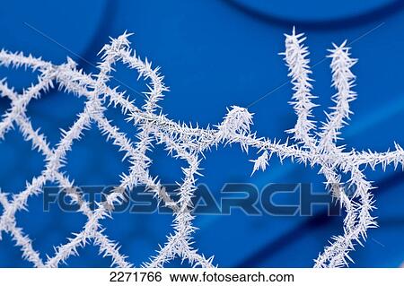 Close-up of frozen barbed wire fence  View Large Photo Image Stock Photograph - Close-up of frozen barbed wire fence . Fotosearch