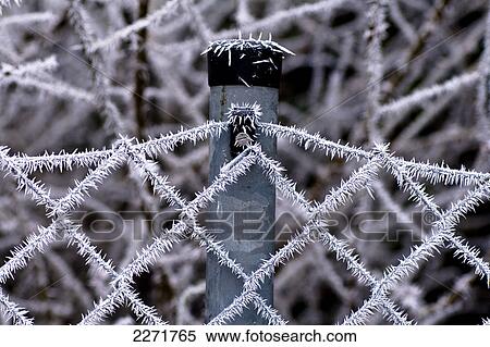 Stock Photography - Close-up of frozen barbed wire fence . Fotosearch