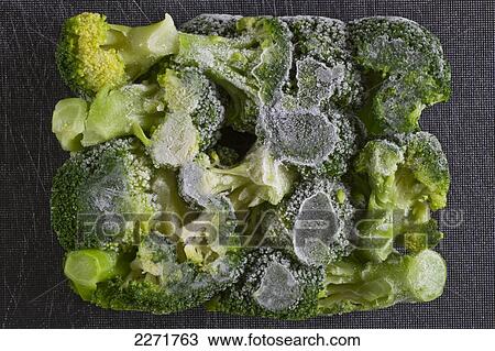 Close-up of fungus on cauliflower View Large Photo Image Stock Image - Close-up of fungus on cauliflower . Fotosearch