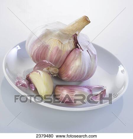 Close-up of garlic bulb on plate View Large Photo Image Stock Image - Close-up of garlic bulb on plate . Fotosearch