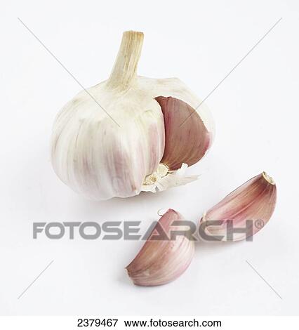 Close-up of garlic bulb View Large Photo Image Stock Photo - Close-up of garlic bulb . Fotosearch