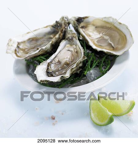 Stock Photo - Close-up of mussels with chives in bowl . Fotosearch