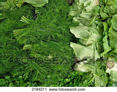 Close-up of parsley View Large Photo Image Stock Image - Close-up of parsley . Fotosearch