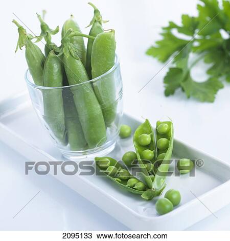 Close-up of pea pods and peas on tray View Large Photo Image Stock Image - Close-up of pea pods and peas on tray . Fotosearch
