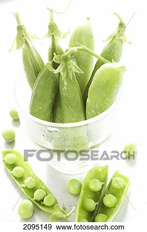 Close-up of pea pods and peas View Large Photo Image Stock Photo - Close-up of pea pods and peas . Fotosearch