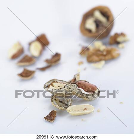 Close-up of peanuts and walnut on white background View Large Photo Image Stock Photo - Close-up of peanuts and walnut on white background . Fotosearch
