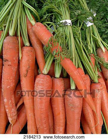 Stock Image - Close-up of radishes . Fotosearch