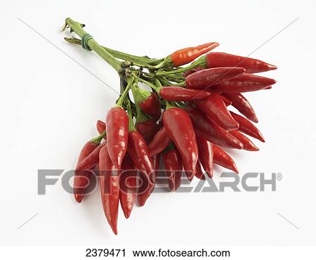 Close-up of red chili peppers View Large Photo Image Stock Image - Close-up of red chili peppers . Fotosearch