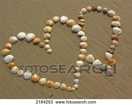 Stock Image - Close-up of shells forming heart shapes on beach . Fotosearch