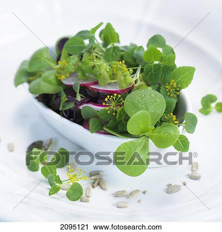 Stock Image - Close-up of slices of radish and leaves in bowl . Fotosearch