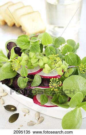 Close-up of slices of radish and leaves in bowl View Large Photo Image Stock Photography - Close-up of slices of radish and leaves in bowl . Fotosearch