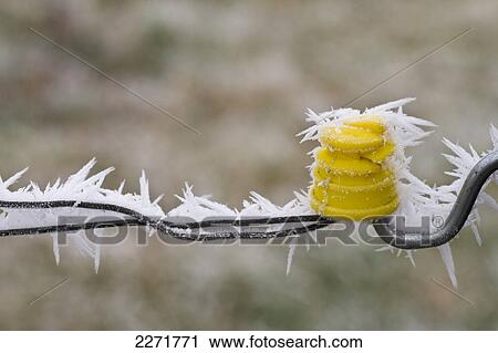 Close-up of snow on barbed wire fence View Large Photo Image Stock Image - Close-up of snow on barbed wire fence . Fotosearch