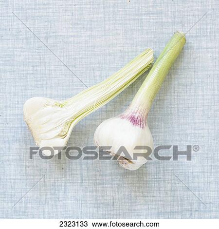 Close-up of spring onions View Large Photo Image Stock Image - Close-up of spring onions . Fotosearch