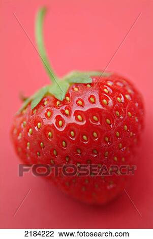 Close-up of strawberry View Large Photo Image Stock Image - Close-up of strawberry . Fotosearch
