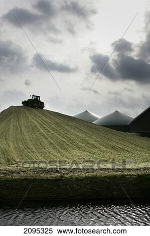 Combine harvester in field View Large Photo Image Stock Photography - Combine harvester in field . Fotosearch