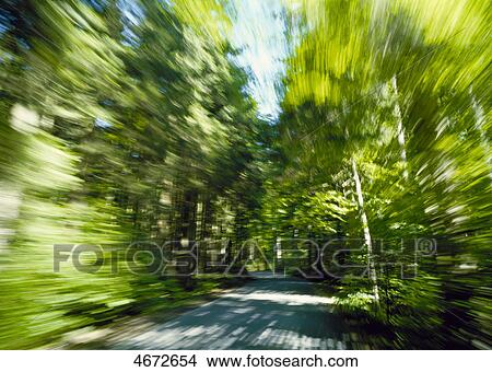 Country road View Large Photo Image Picture - Country road . Fotosearch