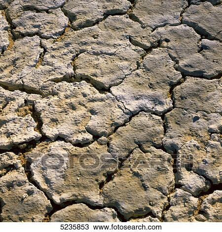 Cracked earth View Large Photo Image Stock Image - Cracked earth . Fotosearch