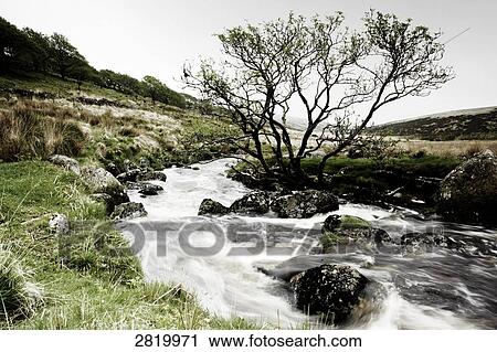 Stock Image - Creek flowing through landscape, Dartmoor, Devon, England . Fotosearch