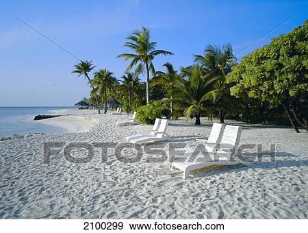 Deck chairs on beach View Large Photo Image Stock Photo - Deck chairs on beach . Fotosearch