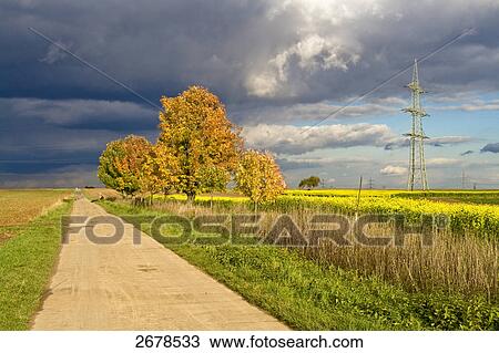 Stock Image - Dirt road running through field . Fotosearch