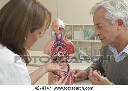 Female doctor and patient talking at anatomic model View Large Photo Image Stock Photo - Female doctor and patient talking at anatomic model . Fotosearch