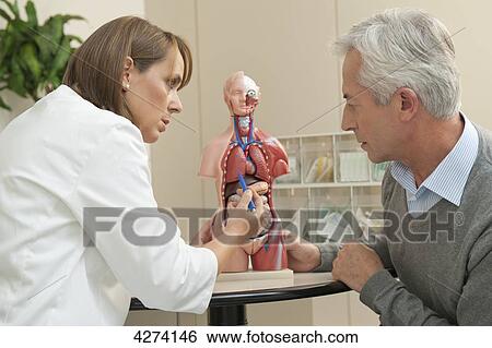 Female doctor and patient talking at anatomic model View Large Photo Image Stock Photograph - Female doctor and patient talking at anatomic model . Fotosearch