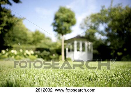 Field with house in background View Large Photo Image Stock Image - Field with house in background . Fotosearch